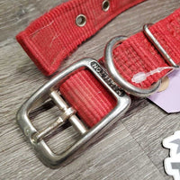 Thick Nylon Dog Collar *gc, mnr dirt, stains & fading, edge rubs & frays