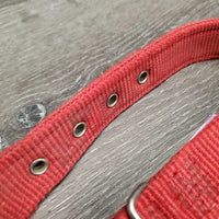 Thick Nylon Dog Collar *gc, mnr dirt, stains & fading, edge rubs & frays

