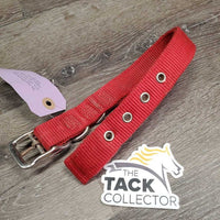 Thick Nylon Dog Collar *gc, mnr dirt, stains & fading, edge rubs & frays