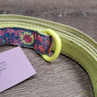 "Floral" Nylon Web & Ribbon Dog Leash *vgc, mnr dirt? edge stains
