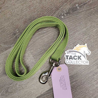 Thick Soft Nylon Dog Leash *vgc, smells
