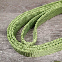 Thick Soft Nylon Dog Leash *vgc, smells
