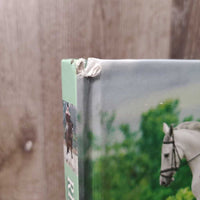 Riding Masterclass, Lesson with 10 of Today's Top Trainers *vgc, mnr rubs, torn corner