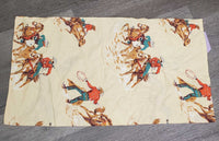 2 Couch Pillow Case *vgc, older, mnr threads & puckers
