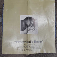 "Przewalski's Horse" Decorative Plate, Paperwork *vgc
