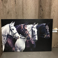 4 Dressage Horses Photo Canvas Wood Mount *vgc, mnr rubs, scratches, faded? & dings
