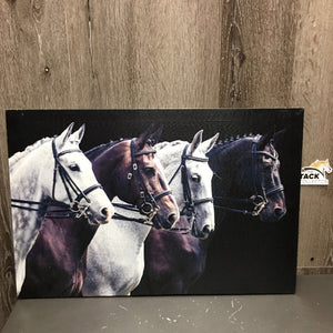 4 Dressage Horses Photo Canvas Wood Mount *vgc, mnr rubs, scratches, faded? & dings