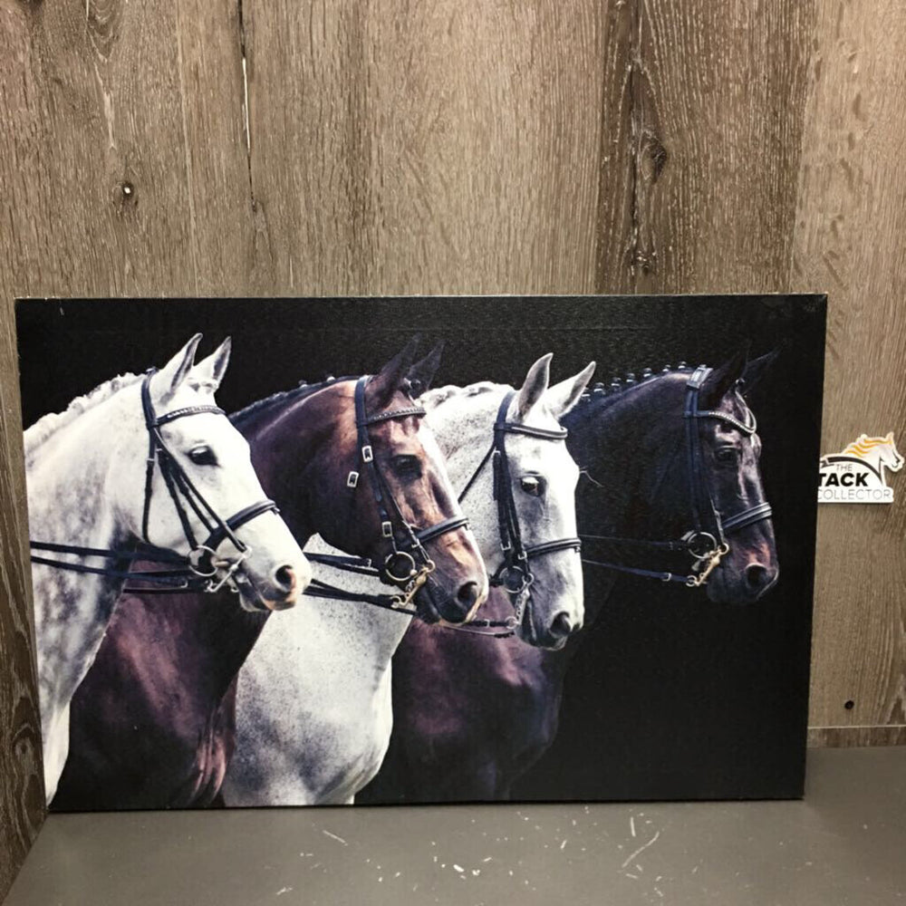 4 Dressage Horses Photo Canvas Wood Mount *vgc, mnr rubs, scratches, faded? & dings