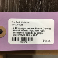 4 Dressage Horses Photo Canvas Wood Mount *vgc, mnr rubs, scratches, faded? & dings
