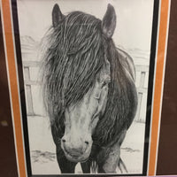 Pencil Drawing Print "Fire & Ice" Icelandic Pony by Nona Foster, Matted, Wood Frame *vgc, streaky, mnr dirt
