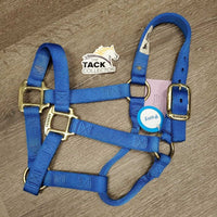 Soft Thick Nylon Halter *vgc/xc, mnr dirt. scratches & peeled hardware
