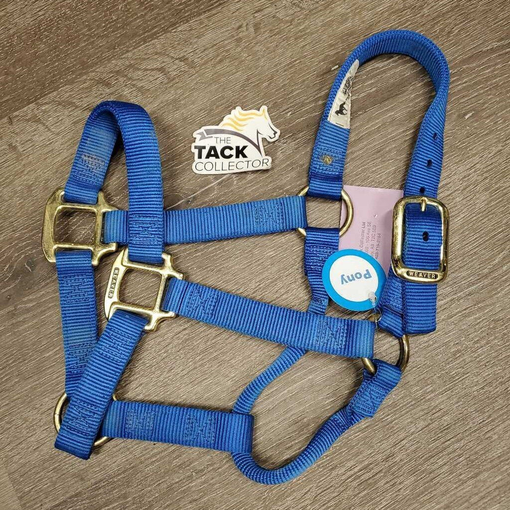 Soft Thick Nylon Halter *vgc/xc, mnr dirt. scratches & peeled hardware