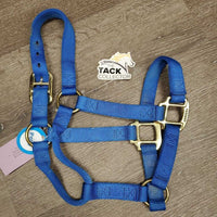 Soft Thick Nylon Halter *vgc/xc, mnr dirt. scratches & peeled hardware

