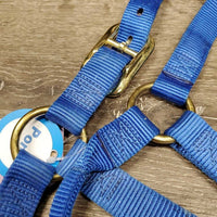 Soft Thick Nylon Halter *vgc/xc, mnr dirt. scratches & peeled hardware

