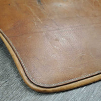 Lg Belly Girth, caribiner, 2x els *gc/fair, clean, torn elastics, older, scrapes, rubs, gouges