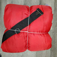 Hvy Stable Blanket, 2 legs *vgc, mnr lining tears, hole, threads, hair, snags

