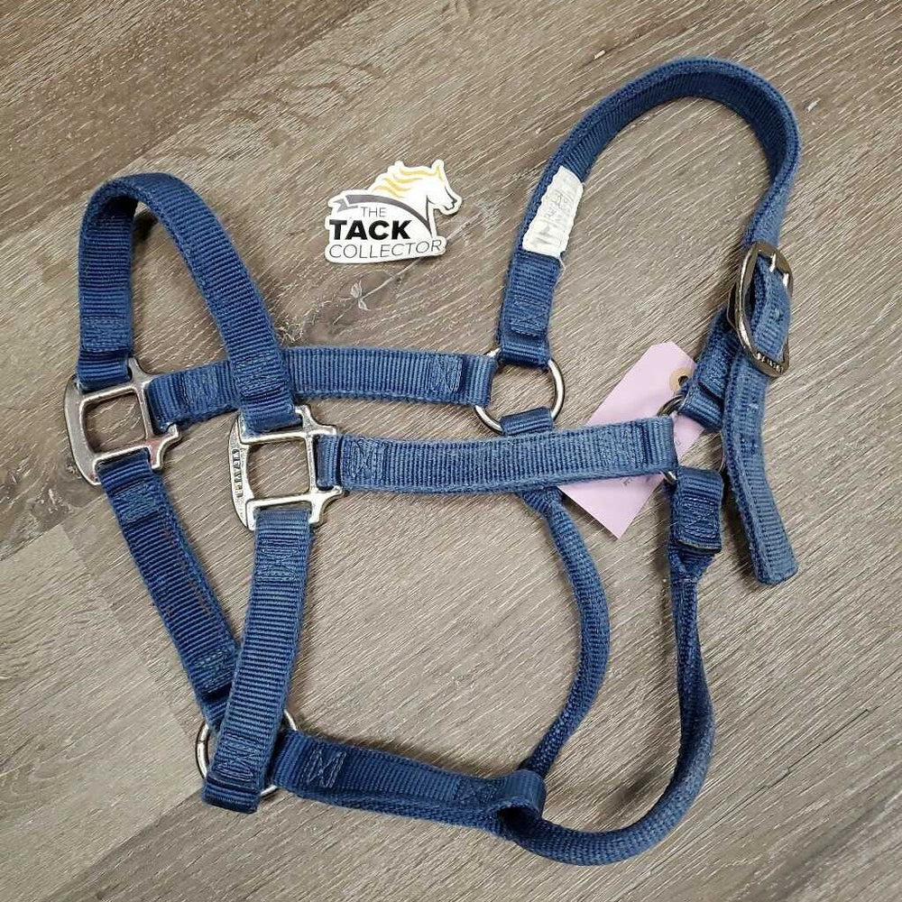 Thick Soft Nylon Halter *gc/fair, clean, v.faded, v.rubbed, v.pilly/frayed