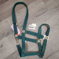Nylon Halter, snap *gc, dirt, stains, edge rubs & frays, threads, rust, oxidized