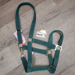 Nylon Halter, snap *gc, dirt, stains, edge rubs & frays, threads, rust, oxidized