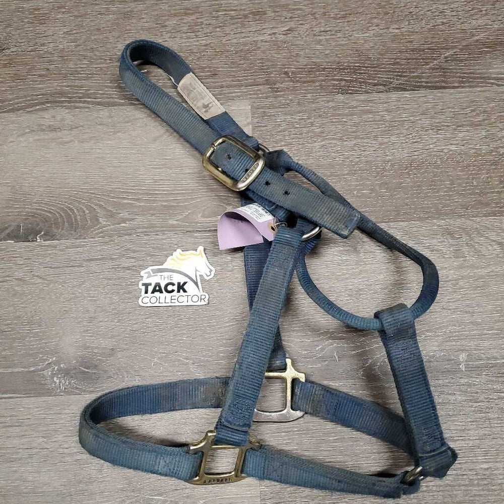 Thick Nylon Halter *gc/fair, v.stained, dirty & faded, hair, edge: rubs & frays