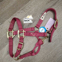Thick Nylon Halter, snap, adj *gc/vgc, dirt