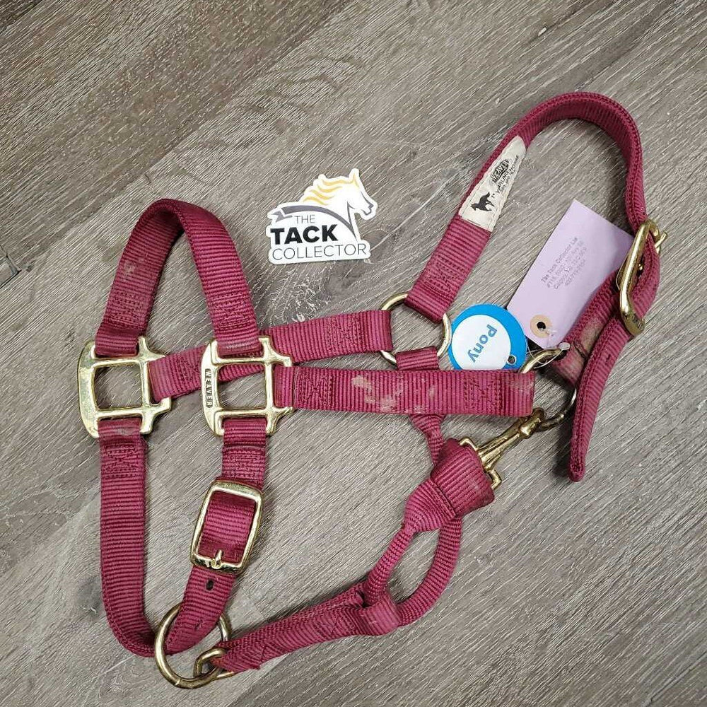 Thick Nylon Halter, snap, adj *gc/vgc, dirt