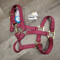 Thick Nylon Halter, snap, adj *gc/vgc, dirt