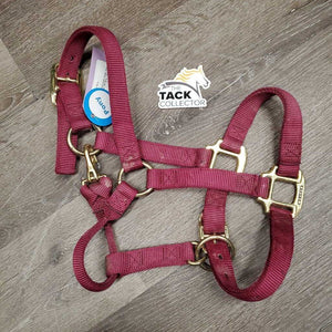 Thick Nylon Halter, snap, adj *gc/vgc, dirt