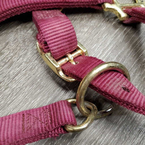 Thick Nylon Halter, snap, adj *gc/vgc, dirt