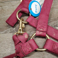 Thick Nylon Halter, snap, adj *gc/vgc, dirt
