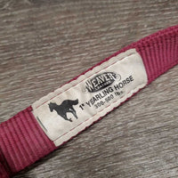 Thick Nylon Halter, snap, adj *gc/vgc, dirt