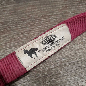Thick Nylon Halter, snap, adj *gc/vgc, dirt
