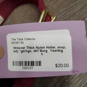 Thick Nylon Halter, snap, adj *gc/vgc, dirt