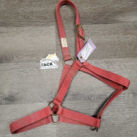 Thin Stiff Nylopn Halter (gc, dirty, faded, rubs, mnr rust?stains
