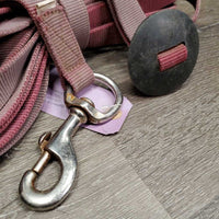 Nylon Web Lunge Line, rubber disc end, loop handle *fair, stains, v.faded, rough edges, dirty, rust