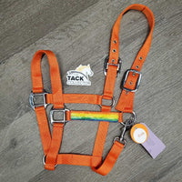 Nylon Halter, Ribbon, snap *like new
