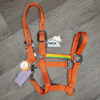 Nylon Halter, Ribbon, snap *like new
