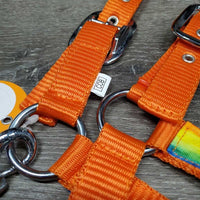 Nylon Halter, Ribbon, snap *like new
