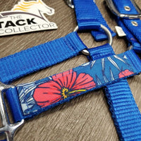 Nylon Halter, Ribbon, snap *like new
