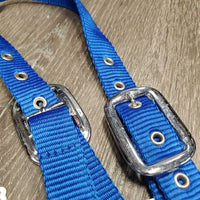 Nylon Halter, Ribbon, snap *like new
