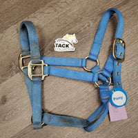 Thick Nylon Halter *gc, dirty, stains, faded, edge rubs, rust