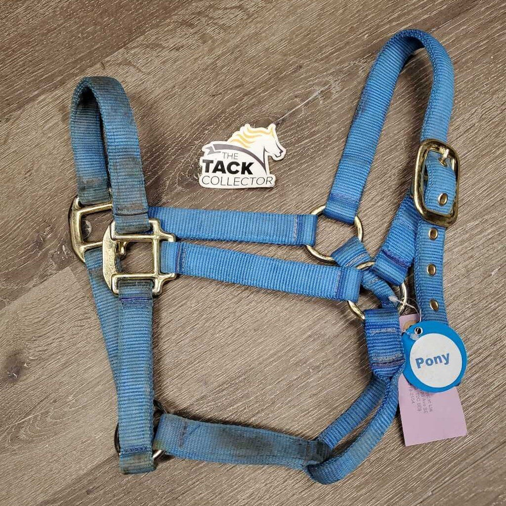 Thick Nylon Halter *gc, dirty, stains, faded, edge rubs, rust