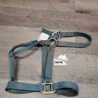 Stiff Nylon Halter *gc/fair, v.stained, dirty & faded, hair, hole frays