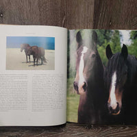 Illustrated Horsewatching by Desmond Morris *gc, stains,dirt, faded & rubbed edges