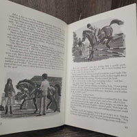 Purnell's Treasury Horse and Pony *gc/fair, No Cover, rubs, scratches, bent, dirty, faded