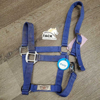 Nylon Halter, snap *gc/fair, dirty, stains, bent/folded nose, edge rubs
