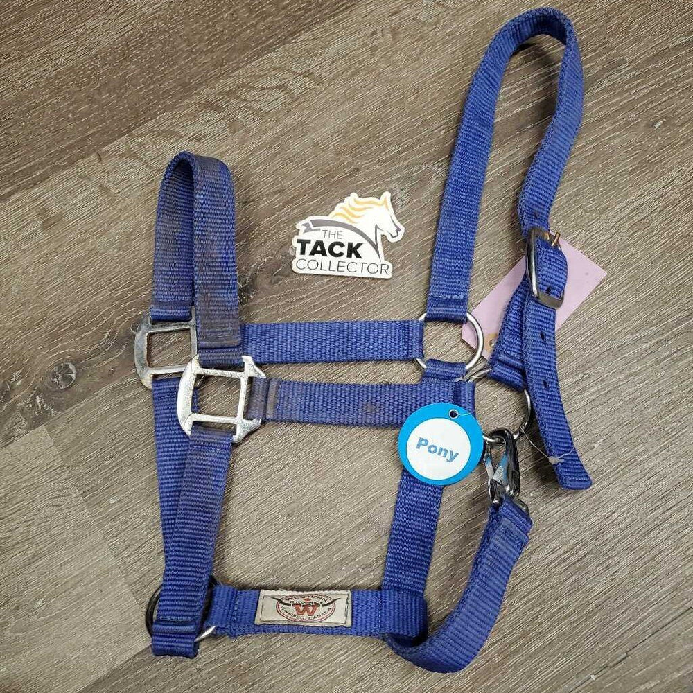 Nylon Halter, snap *gc/fair, dirty, stains, bent/folded nose, edge rubs