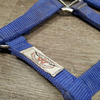 Nylon Halter, snap *gc/fair, dirty, stains, bent/folded nose, edge rubs