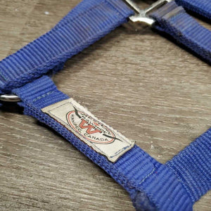 Nylon Halter, snap *gc/fair, dirty, stains, bent/folded nose, edge rubs