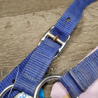 Nylon Halter, snap *gc/fair, dirty, stains, bent/folded nose, edge rubs
